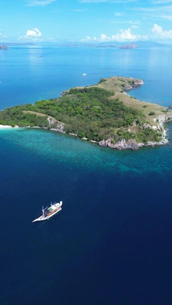 Aerial view of Arfisyana cruising near a lush tropical island